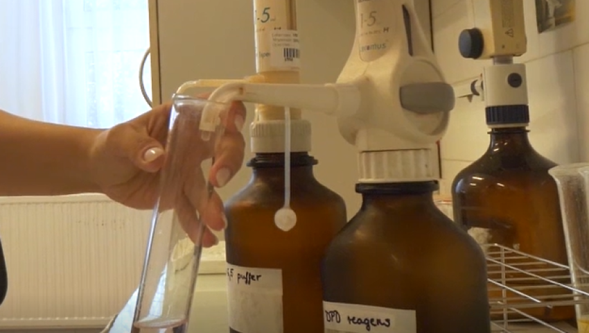 A Víz Világnapja alkalmából kedvezményes laboratóriumi vizsgálatok kizárólag a nem ivóvíz hálózatból származó vízminták tekintetében